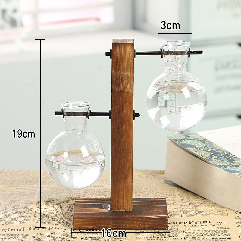 Hydroponic Propagation Transparent Plant Vases