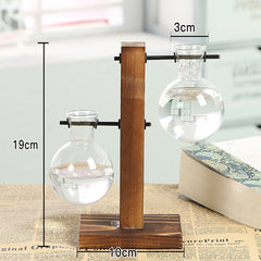 Hydroponic Propagation Transparent Plant Vases