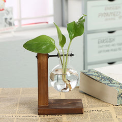 Hydroponic Propagation Transparent Plant Vases