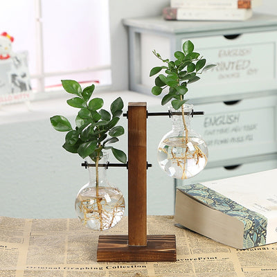 Hydroponic Propagation Transparent Plant Vases